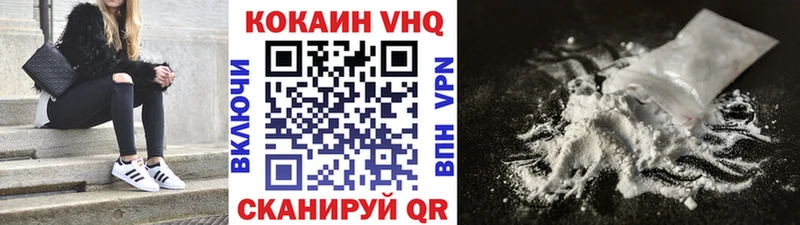 Cocaine FishScale  Купить закладки  Саянск 